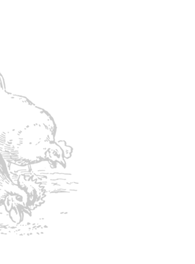 Untitled-design-17.png
