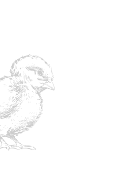 Untitled-design-18-1-e1756288000671.png