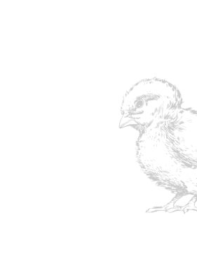 Untitled-design-18.png