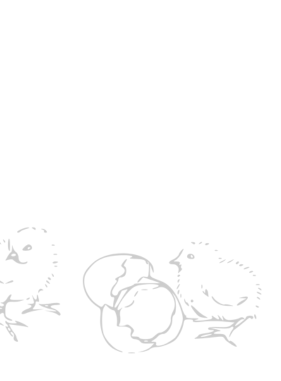 Untitled-design-19.png