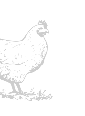 Untitled-design-21-1-e1756288138335.png