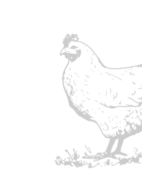 Untitled-design-21.png